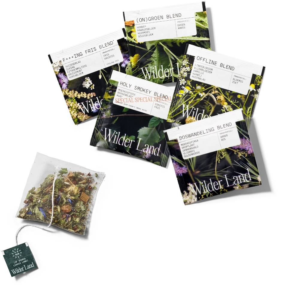 YK_WilderLand_03
